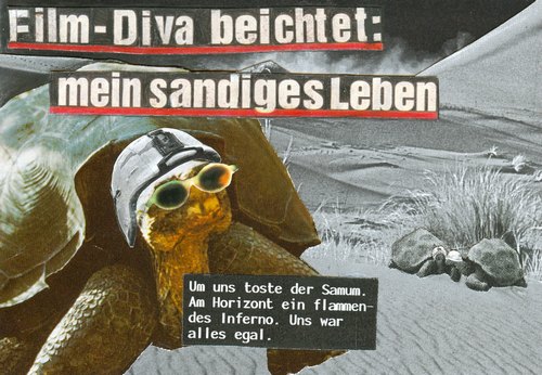 2005mein_sandiges_leben_-_softcore.jpg